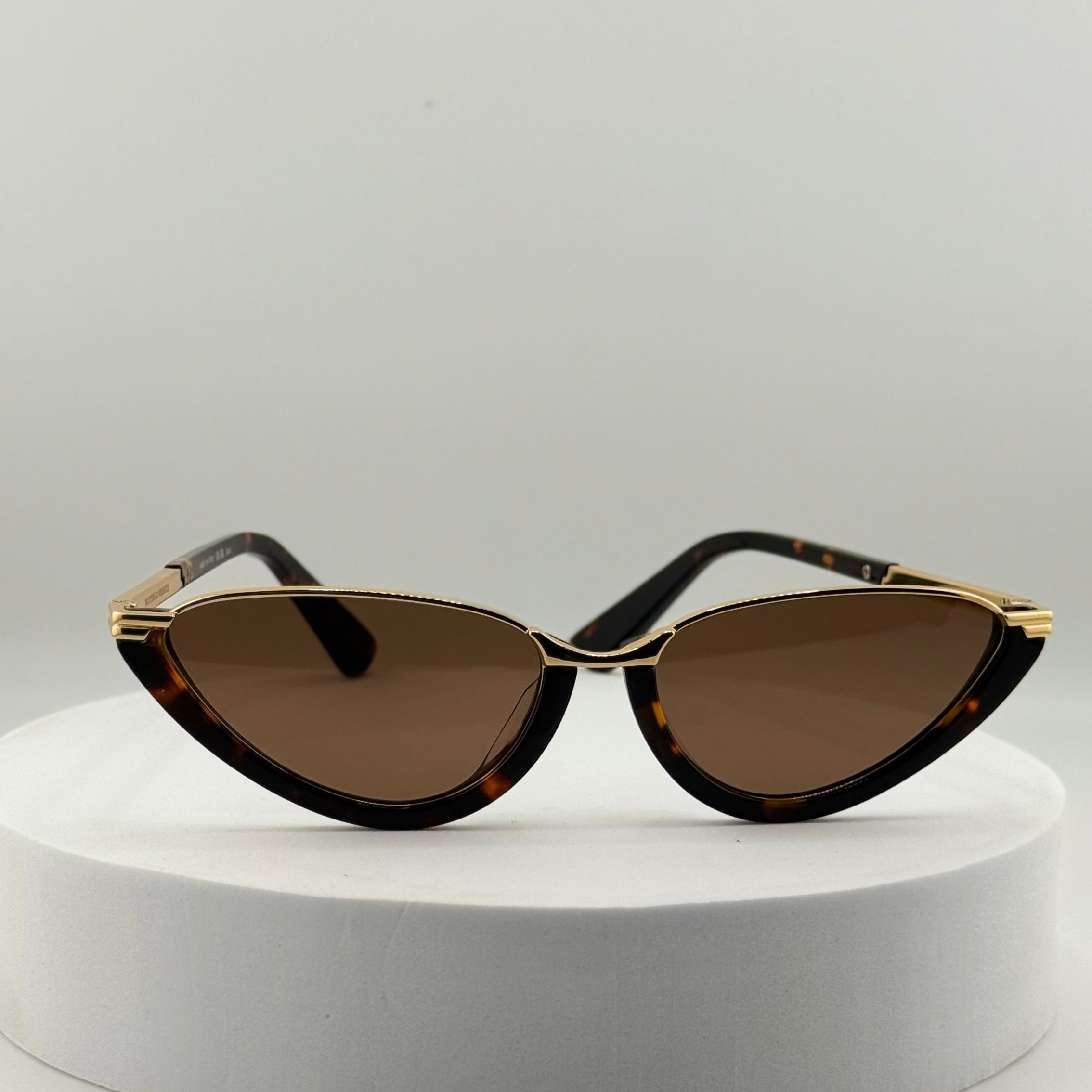 Bottega Veneta Classic Cat-Eye Sunglasses (BV1346S)BV