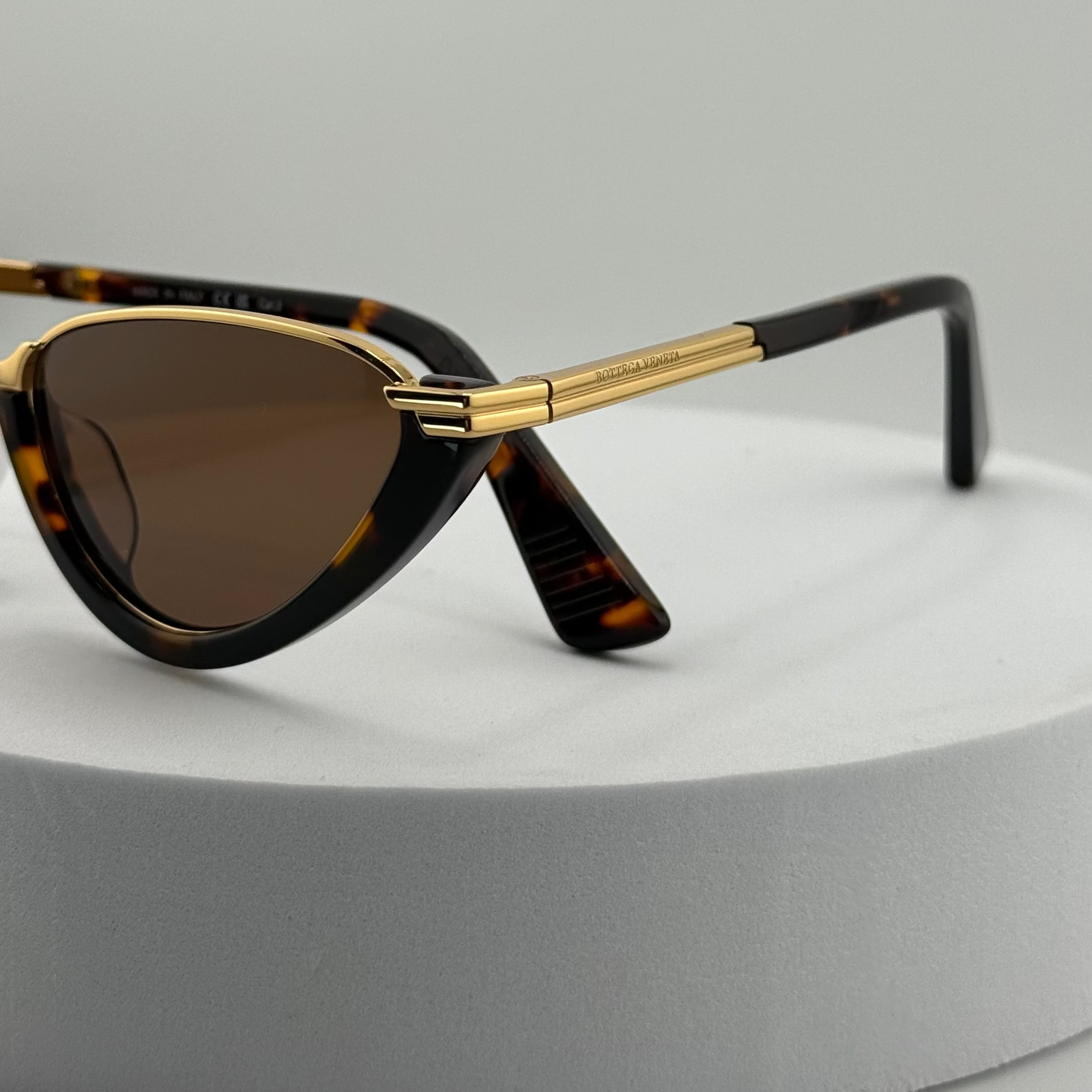 Bottega Veneta Classic Cat-Eye Sunglasses (BV1346S)BV