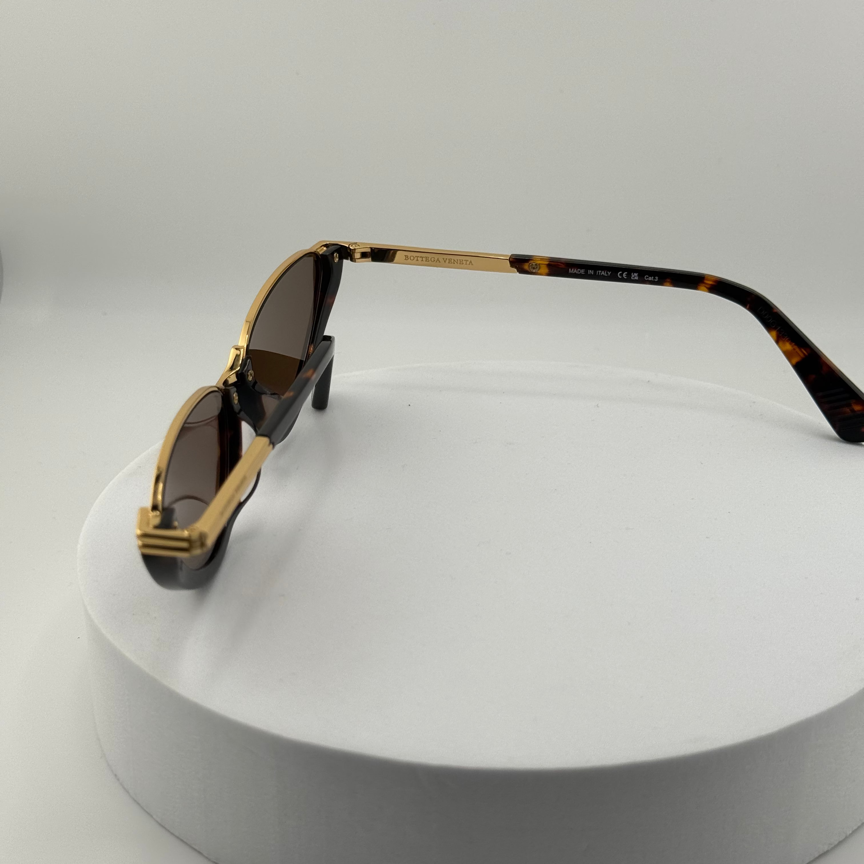 Bottega Veneta Classic Cat-Eye Sunglasses (BV1346S)BV