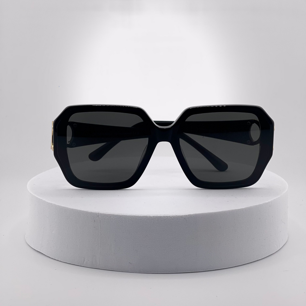 Celine Triomphe 01 Acetate Sunglasses – Black