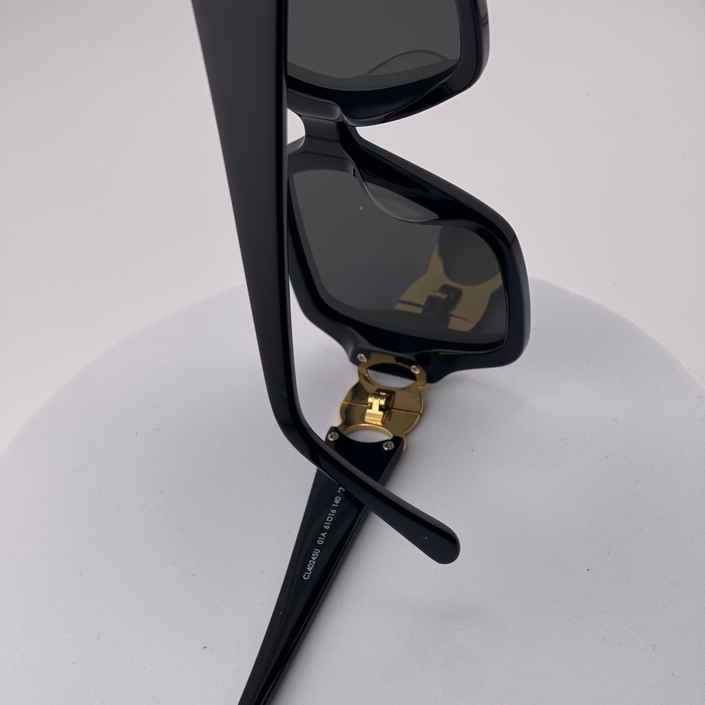 Celine Triomphe 01 Acetate Sunglasses – Black