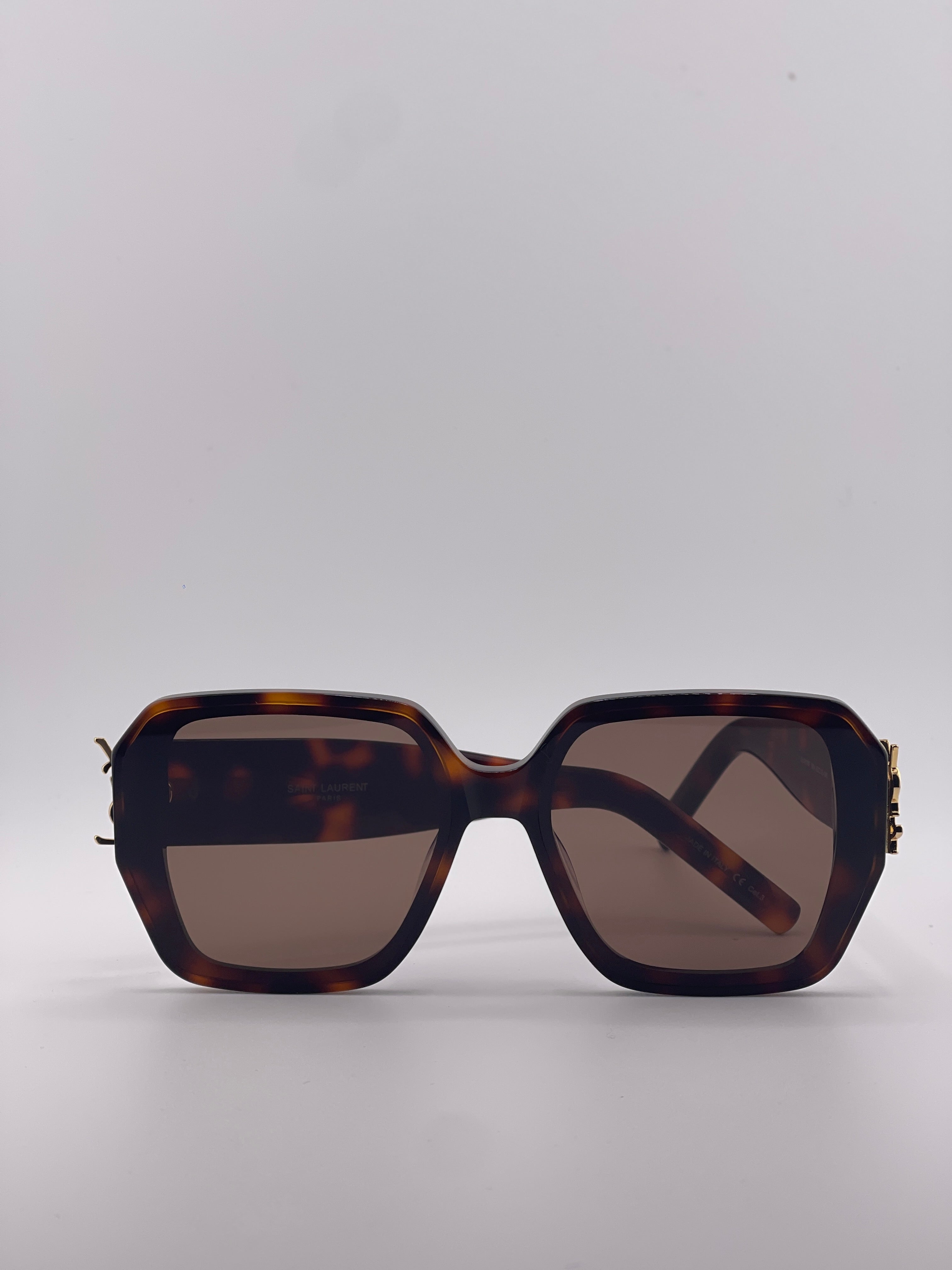 Y-S-L Brown Regular Chic Sunglasses – Timeless Elegance with a Modern Twist