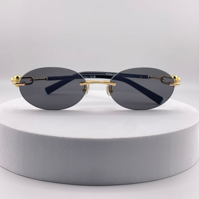 Tiffany & Co. TF3104D Sunglasses