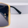Dolce & Gabbana DG2305 Oversized Shield Sunglasses