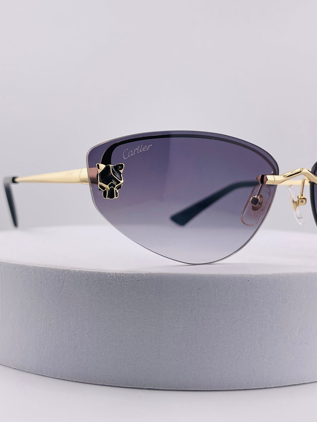 Cartier CT0431S
